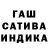 МАРИХУАНА сатива FaN Crusaders