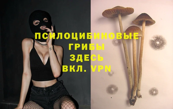 COCAINE Алексеевка