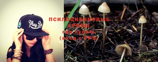 трава Алзамай